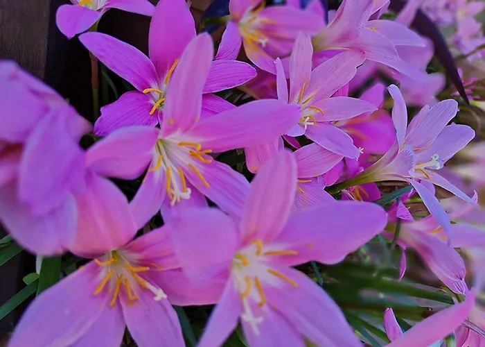 Dimora Porta Venere *