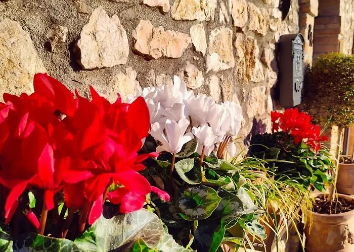 Dimora Porta Venere * Spello